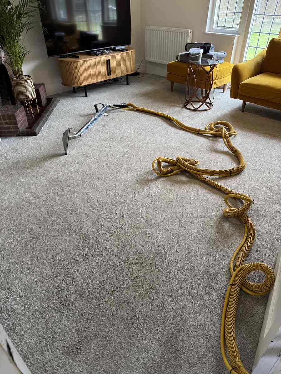 FIBRE & CO. deep cleaning a living room carpet, with extraction hoses and cleaning wand on a beige carpet