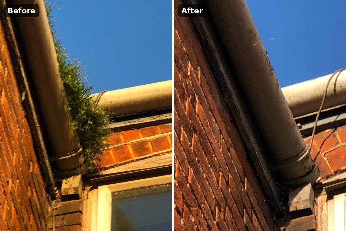 Gutter cleaning before and after: grass and moss growing out of a gutter, then the same gutter cleared