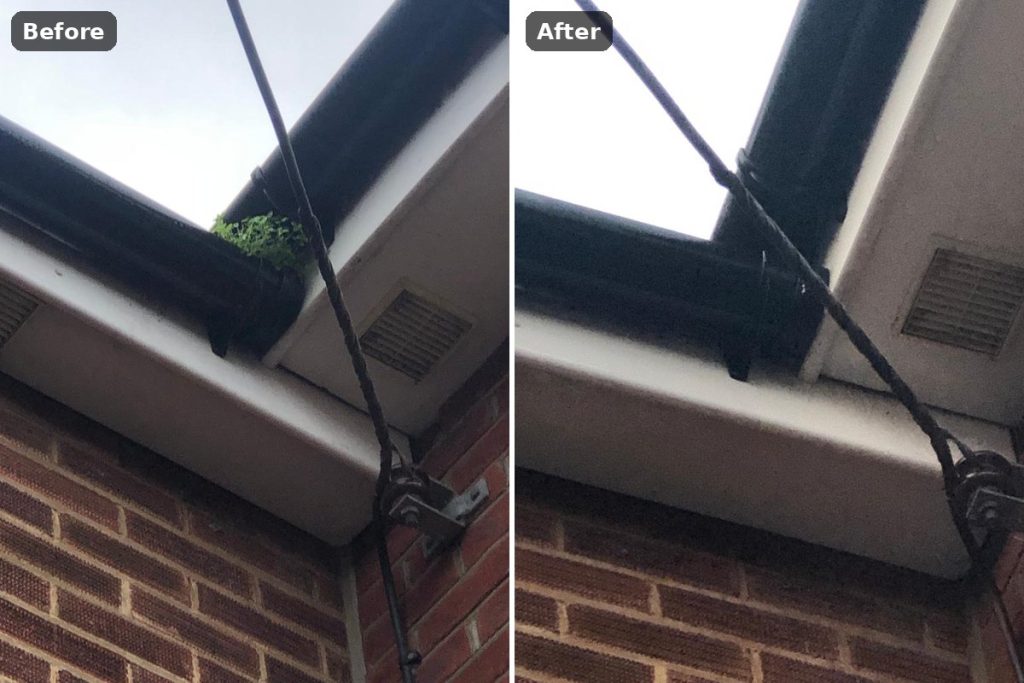 Gutter clearing before and after in Colchester
