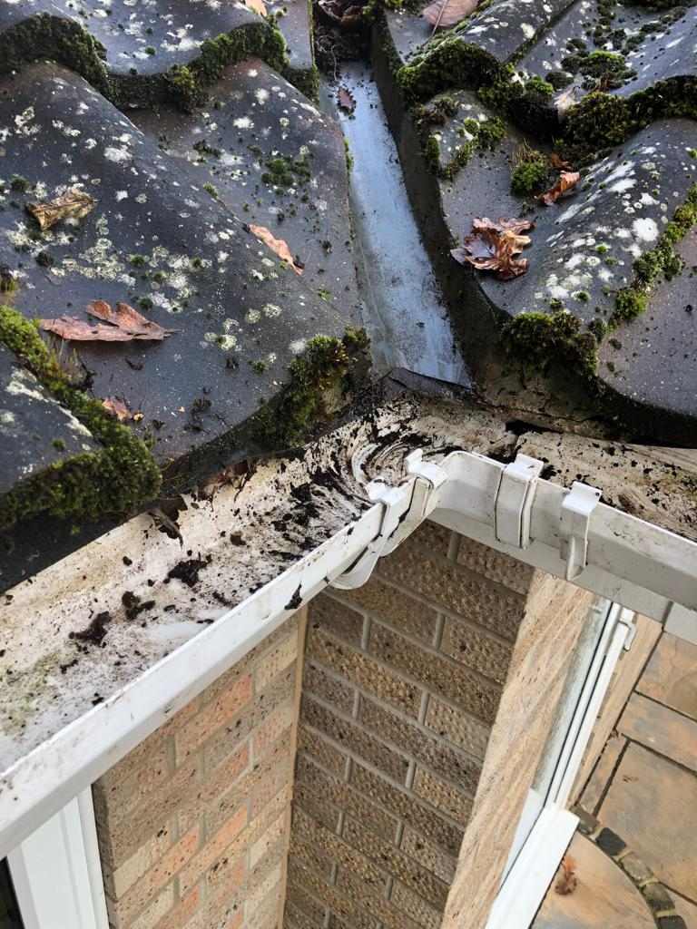 Gutter clogged with moss and debris under concrete roof tiles, ready for clearing
